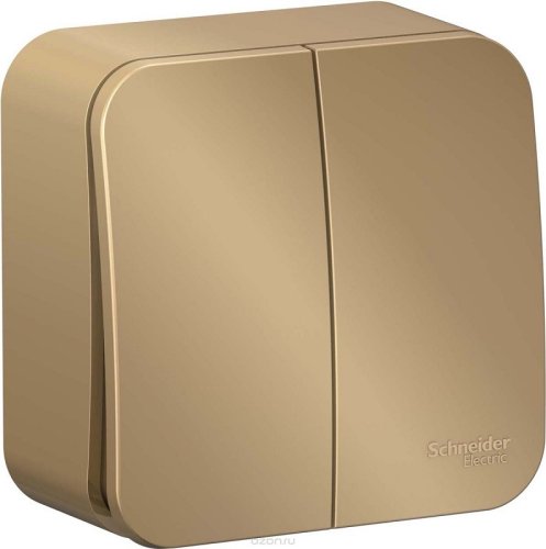 Выключатель накладной Systeme Electric Blanca 2-кл. титан картинка